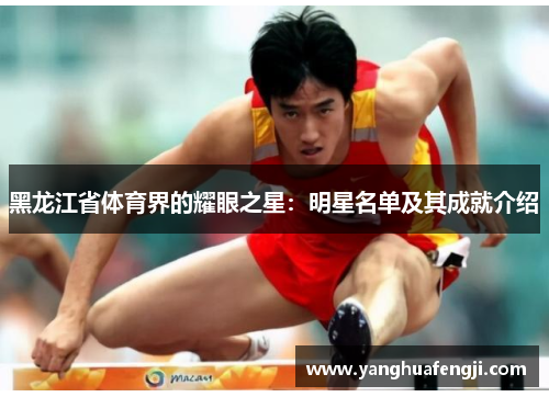 黑龙江省体育界的耀眼之星：明星名单及其成就介绍